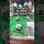 【ちいかわ】ココが狙い目！クレゲの世界を発信中🌍チャンネル登録お願いします！ #クレーンゲーム #ufoキャッチャー #clawmachine #ゲームセンター #ゲーセン #ちいかわ #攻略