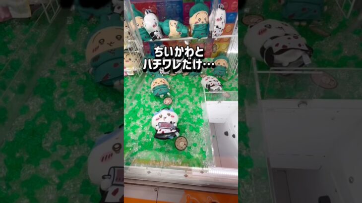 【ちいかわ】ココが狙い目！クレゲの世界を発信中🌍チャンネル登録お願いします！ #クレーンゲーム #ufoキャッチャー #clawmachine #ゲームセンター #ゲーセン #ちいかわ #攻略