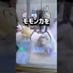 【ちいかわ】クレゲで損したくない人チャンネル登録お願いします！ #クレーンゲーム #ufoキャッチャー #clawmachine #ゲームセンター #ちいかわ #chiikawa #攻略 #モモンガ
