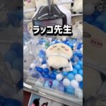【ちいかわ】損したくない人フォローお願いします! #クレーンゲーム #ufoキャッチャー #clawmachine #ゲームセンター #ゲーセン #ちいかわ #chiikawa #ラッコ先生 #攻略