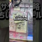 【ちいかわ】真ん中掴むの❌チャンネル登録お願いします！ #クレーンゲーム #ufoキャッチャー #clawmachine #ゲーセン #ちいかわ #シール #gigo #攻略 #chiikawa