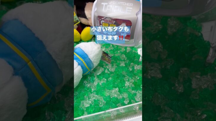 【クレゲ】布タグを狙ってみたら・・・ #クレーンゲーム #ゲームセンター #ゲーセン #ufoキャッチャー #japantravel #クレーンゲーム攻略 #shorts #clawmachine