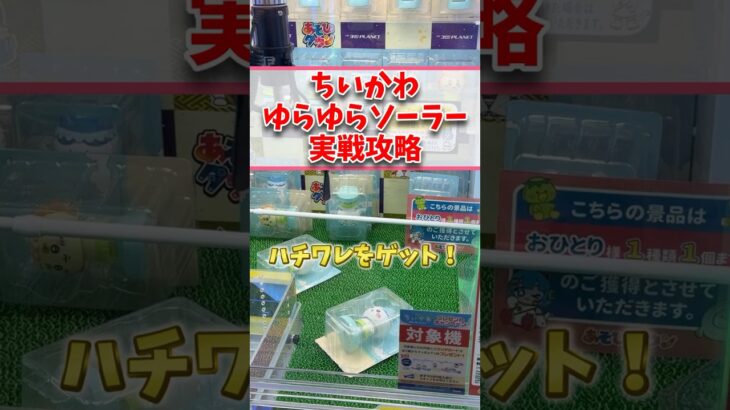 【ちいかわ】新作 ちいかわ ゆらゆらソーラー実戦攻略　【クレーンゲーム】　  #ちいかわ  #クレーンゲーム  #ufoキャッチャー  #shorts