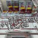 たまにはサクサクじゃないクレーンゲームもいいのではないでしょうか？
