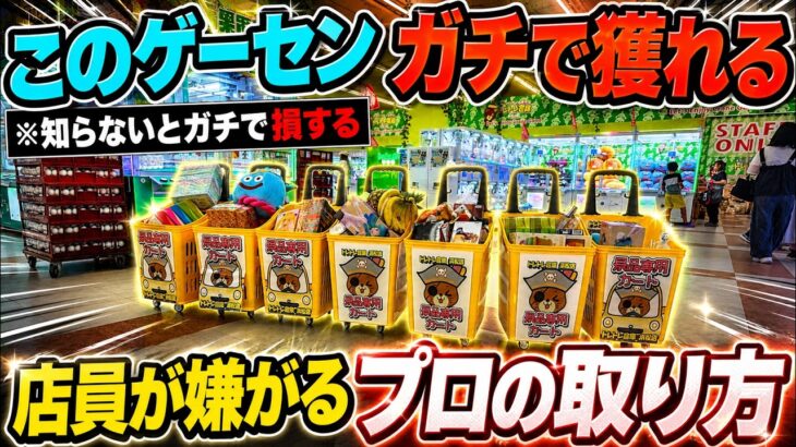 【クレーンゲーム】知らないとガチで損するプロの取り方！今までの取り方ではダメ！このゲーセンがガチで獲れる！今一番オススメの店舗はここ！！
