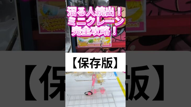 【完全保存版】沼る人続出のミニクレーンゲーム攻略法！