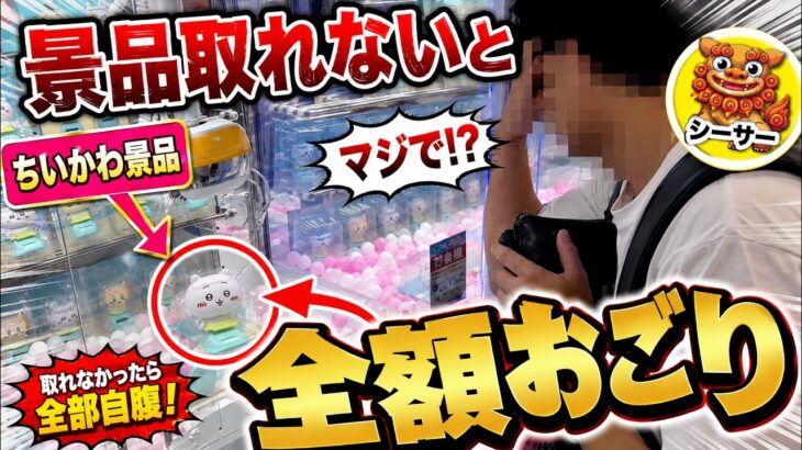 【クレーンゲーム】ちいかわのシーサー取れなかったら全部おごり。彼氏が本気になりました