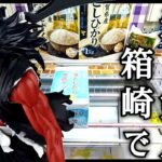【クレーンゲーム】新景品を狙いに行ったらお米に惹かれ…米と剣八を箱崎で獲る！
