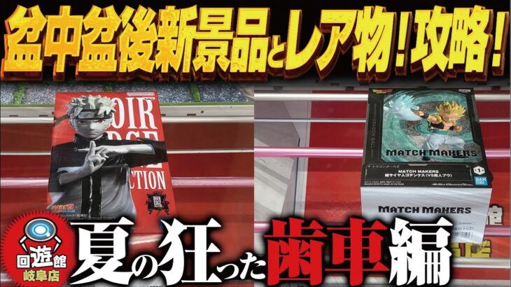 【クレーンゲーム】盆中、盆明け、盆のレア全部！攻略！回遊館岐阜店！