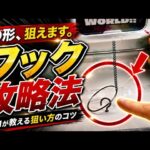 フック設定攻略！これ知らないと一生取れません！【クレーンゲーム】