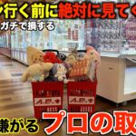 【クレーンゲーム】知らないとガチで損する！ゲーセン行く前には絶対に見て！プロの取り方と考え方を徹底解説！