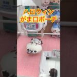 【ちいかわ】ハロウィンがま口ポーチをゲットするまでの動画♡