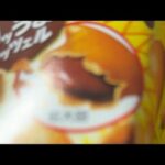 慎太郎の毎週配信/ルームシェア崩壊の危機/クレーンゲーム攻略/妖怪取り憑き配信