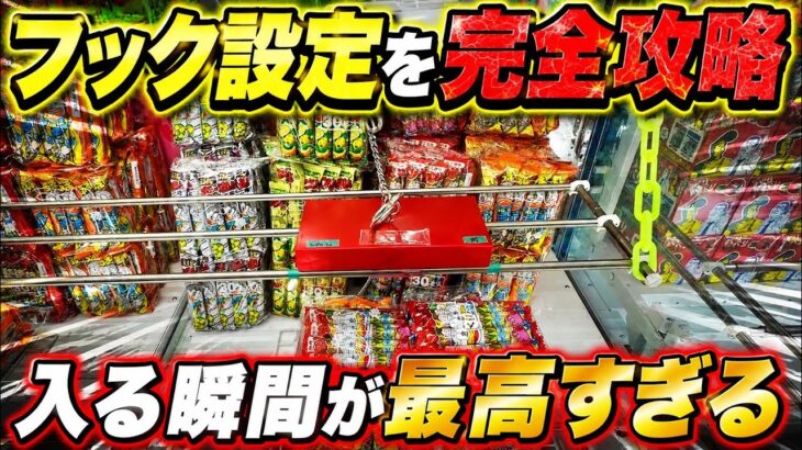 【フック攻略】入る瞬間が気持ち良すぎるフック設定の攻略法をお見せします【クレーンゲーム】おたちゅう赤道店
