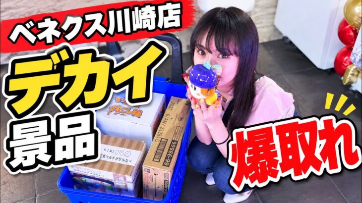 【クレーンゲーム】普段あまり挑戦しない景品達狙ってみた