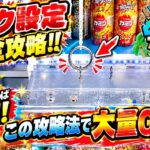 【ガチ検証】あの攻略法は通用するのか!? 話題のとれすぎーのアイランドで家族わちゃわちゃスーパーより安く楽しむフル動画🏆