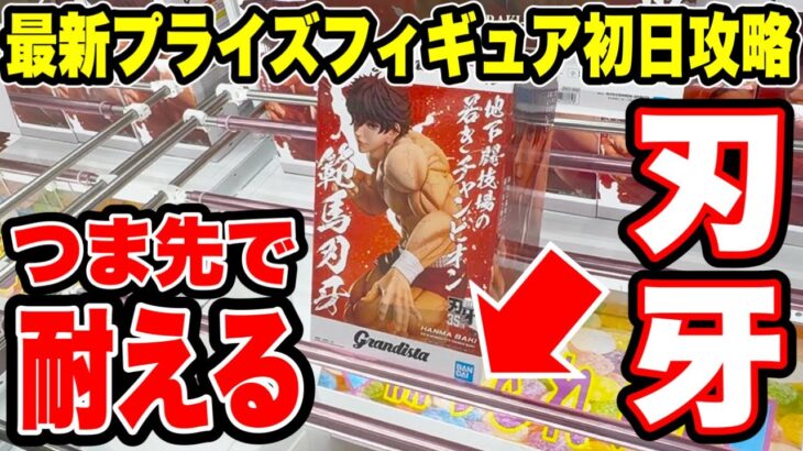 【クレーンゲーム】最新プライズ登場初日攻略！つま先で耐える刃牙がヤバすぎた！？🔥