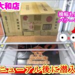 【誰でも獲れます！】クレーンゲーム日本一獲れるお店のリニューアル後の景品の取るコツを紹介 【ベネクス大和店】