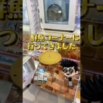 回遊館のクレーンゲームで、鮮魚コーナー発見！