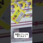 超わかりやすい刺し回し #クレーンゲーム #攻略