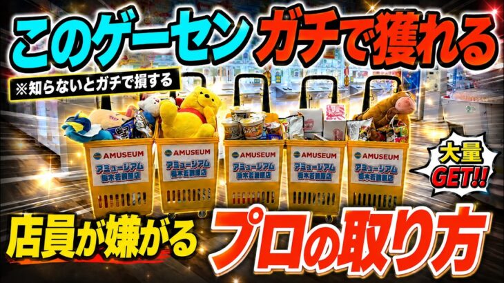 【クレーンゲーム】知らないとガチで損するプロの取り方！栃木で一番獲れるゲーセンがオープンした！このゲーセンがガチで獲れる！今一番オススメの店舗はここ！！