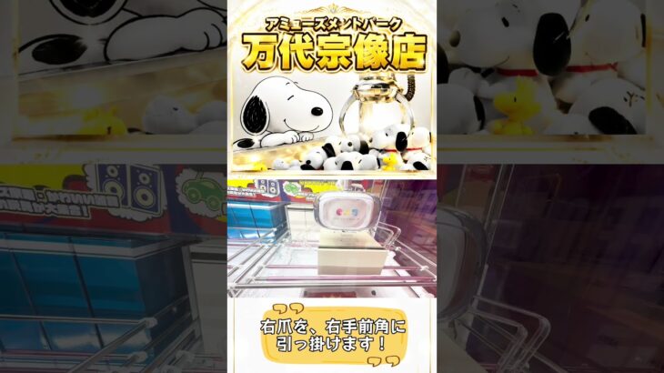 🐶【神回】スヌーピーのスリッパを箱型攻略‼️🎯