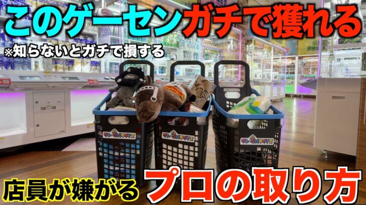 【クレーンゲーム】知らないとガチで損する！新しくオープンしたゲーセンがガチで獲れる！新業態で始まった店を完全攻略！超穴場ゲーセンで取り方を完全攻略しました！
