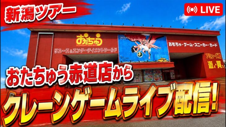 【クレーンゲーム】新潟ツアー！おたちゅう赤道店からライブ配信🔥グランドリニューアル後がヤバすぎた！
