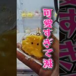 【ヤバすぎw】8月オープンのクレーンゲーム専門店が取れやすすぎたw #クレーンプラネット久世店 #クレーンプラネット #京都クレーンゲーム #久世 #PR