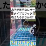 息子にクレーンゲームのコツ教えたらワンパンゲットwww