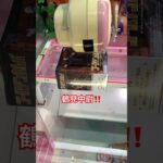 【クレーンゲーム】 #クレーンゲーム #プライズ獲得 #youtubeshorts #ゲームセンター #ufoキャッチャー #ゲーセン #youtube #フィギュア #2026 #ゴールデンカムイ