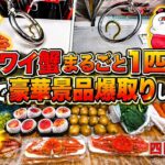 【後編】フック設定でズワイ蟹丸ごと1匹！ちゃんと身が詰まってて美味しかったです【ゲームセンター】