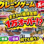 クレーンゲームで1万円オーバー獲得!? 日用品・野菜・巨峰まで何でも揃う？【本日のクレーンゲーム 其の捌】