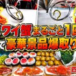 【前編】フック設定でズワイ蟹丸ごと1匹！ちゃんと身が詰まってて美味しかったです【ゲームセンター】