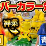 【クレーンゲーム】メンバーカラーの景品を1番多く取る対決でプロがうますぎた