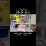 【重さ1トン!?】ギチギチのプリンをフックで引っ張ったらまさかすぎる結果に…　#ポケモン#pokemon #ポケットモンスター #クレーンゲーム#ぬいぐるみ
