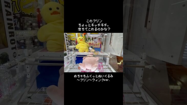 【重さ1トン!?】ギチギチのプリンをフックで引っ張ったらまさかすぎる結果に…　#ポケモン#pokemon #ポケットモンスター #クレーンゲーム#ぬいぐるみ