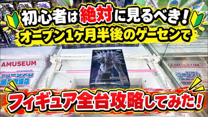 初心者は絶対見るべき！オープン1ヶ月半後のゲーセンでフィギュア全台攻略した結果がヤバすぎた…#クレーンゲーム #ufoキャッチャー #ゲームセンター