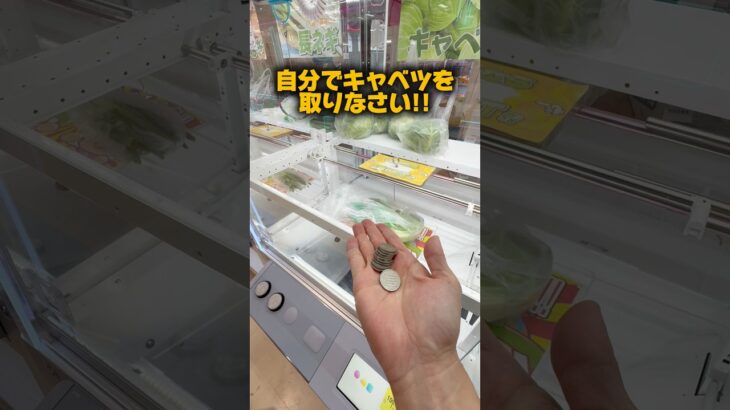 【クレーンゲーム】1000円チャレンジしたら予想外の展開に！？ハピピランド弘前店🔥