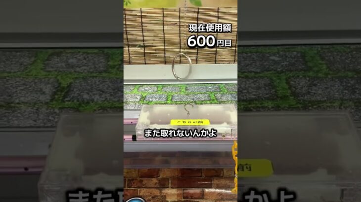 1日1000円しか使えないクレーンゲームの景品だけで生活202日目 #clawmachine #クレーンゲーム #ゲームセンター #ufoキャッチャー #ゲーセン #フック設定