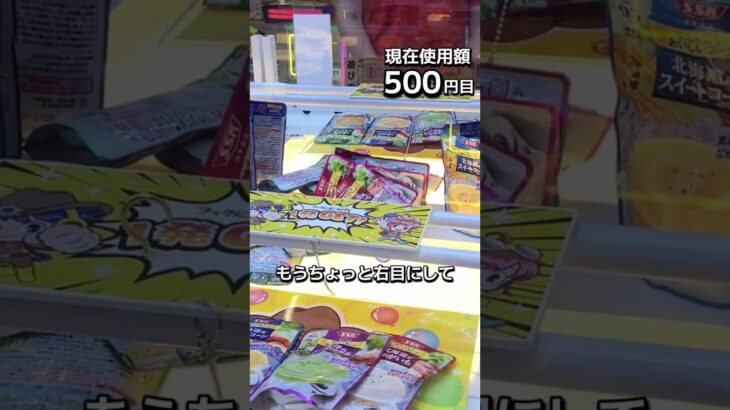 1日1000円しか使えないクレーンゲームの景品だけで生活206日目 #clawmachine #クレーンゲーム #ゲームセンター #ufoキャッチャー #ゲーセン #フック設定