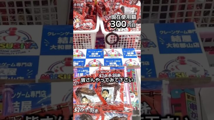 1日1000円しか使えないクレーンゲームの景品だけで生活207日目 #clawmachine #クレーンゲーム #ゲームセンター #ufoキャッチャー #ゲーセン #フック設定
