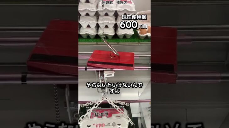 1日1000円しか使えないクレーンゲームの景品だけで生活210日目 #clawmachine #クレーンゲーム #ゲームセンター #ufoキャッチャー #ゲーセン #フック設定