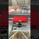 1日1000円しか使えないクレーンゲームの景品だけで生活217日目 #clawmachine #クレーンゲーム #フック設定 #ゲームセンター #ufoキャッチャー #ゲーセン