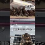 1日1000円しか使えないクレーンゲームの景品だけで生活218日目 #clawmachine #クレーンゲーム #フック設定 #ゲームセンター #ufoキャッチャー #ゲーセン