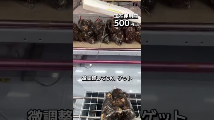 1日1000円しか使えないクレーンゲームの景品だけで生活218日目 #clawmachine #クレーンゲーム #フック設定 #ゲームセンター #ufoキャッチャー #ゲーセン