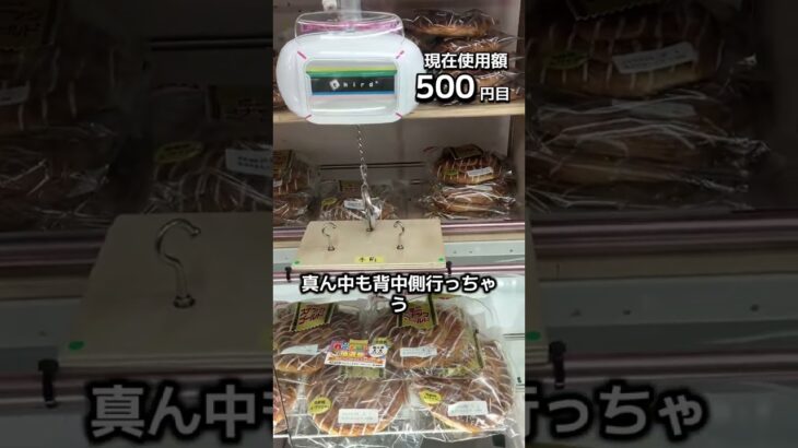 1日1000円しか使えないクレーンゲームの景品だけで生活220日目 #clawmachine #クレーンゲーム #フック設定 #ゲームセンター #ufoキャッチャー #ゲーセン #大谷翔平