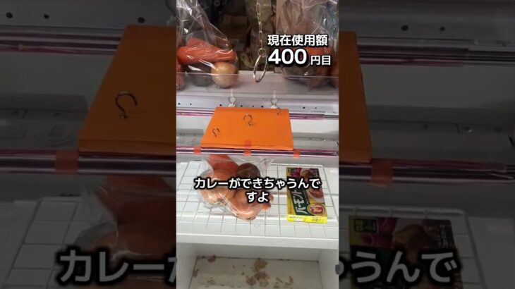 1日1000円しか使えないクレーンゲームの景品だけで生活221日目 #clawmachine #クレーンゲーム #フック設定 #ゲームセンター #ufoキャッチャー #ゲーセン