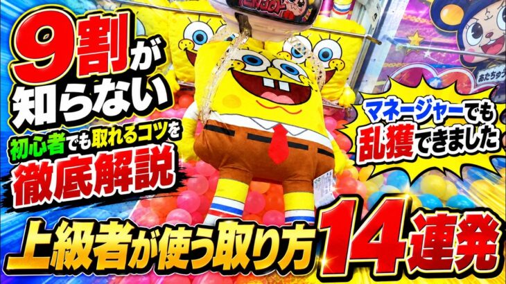 クレーンゲーム素人を1から教育したらどこまで上手くなる？オープンから1ヶ月経過した激取れ店舗にマネージャーを派遣したらまさかの結果に！！！【クレーンゲーム・UFOキャッチャー】