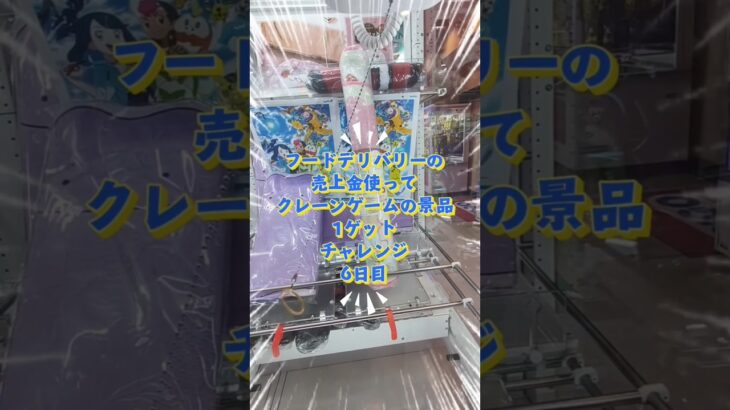 フードデリバリーの売上金使ってクレーンゲームの景品1ゲット生活6日目# ＃レーンゲーム #ufoキャッチャー #検証 #生活 #